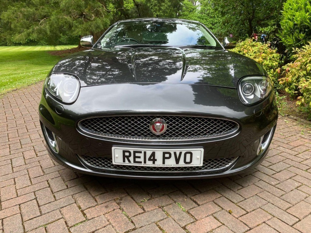JAGUAR XK