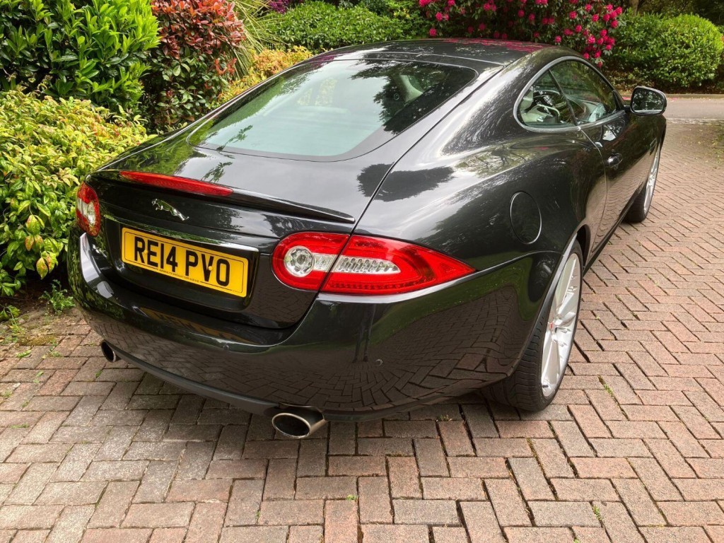 JAGUAR XK