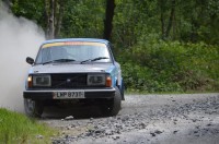 VOLVO 244