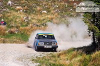 VOLVO 244