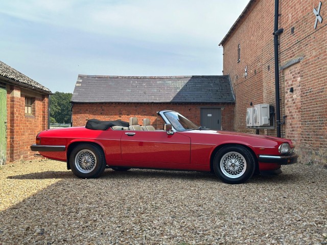 JAGUAR