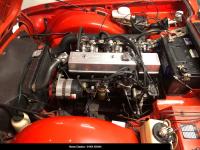 TRIUMPH TR6