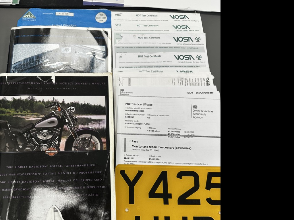 HARLEY-DAVIDSON Softail