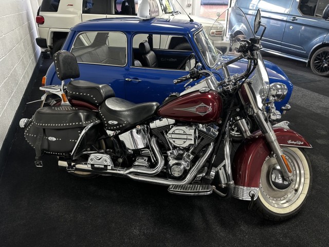 HARLEY-DAVIDSON Softail