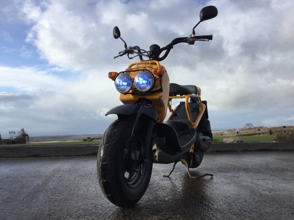 HONDA ZOOMER