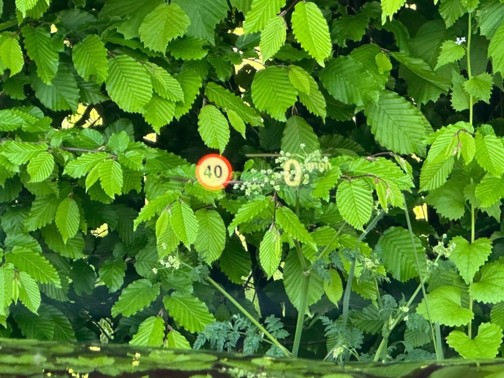 BMW 5 SERIES 3.0 530d xDrive M Sport Touring 2021