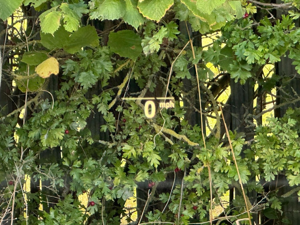 BMW 5 SERIES 3.0 530d xDrive M Sport Touring 2022