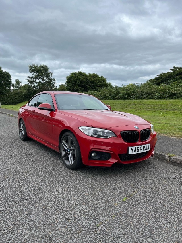 BMW 2 SERIES 2.0 220d M Sport Coupe