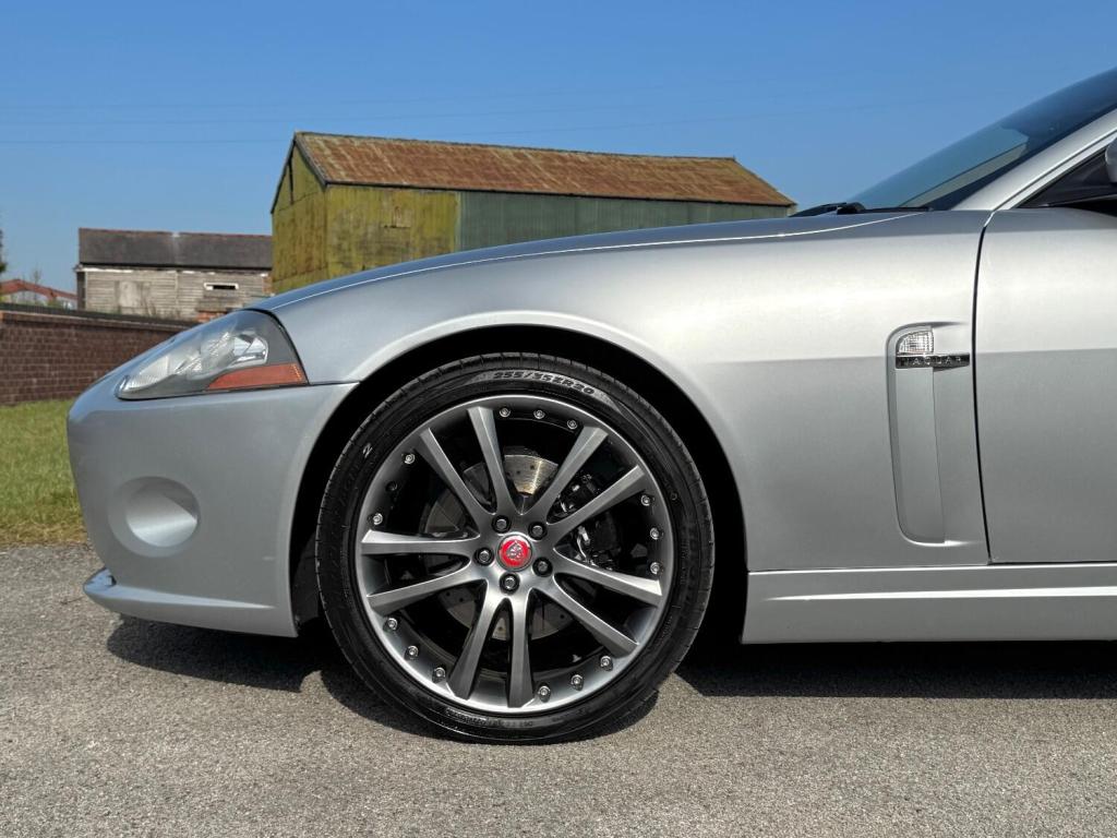 JAGUAR XK