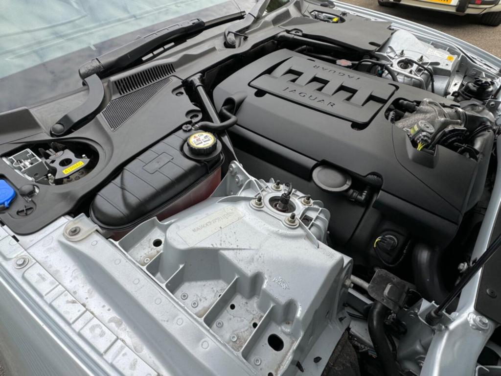JAGUAR XK