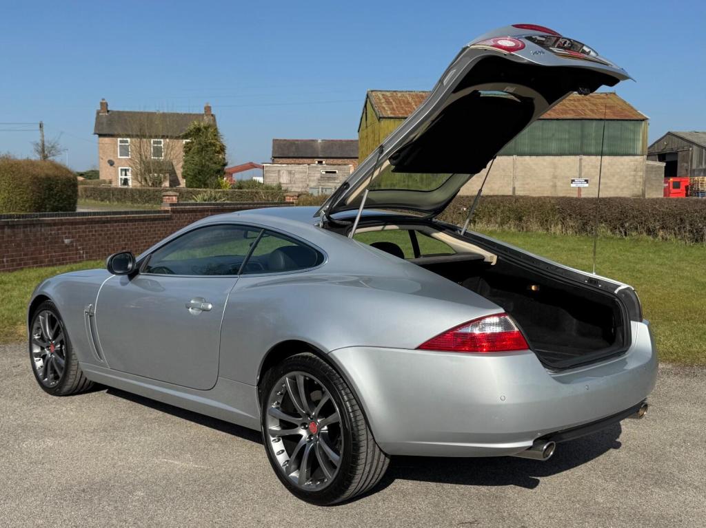JAGUAR XK