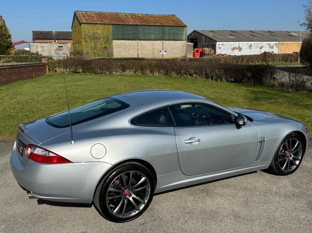 JAGUAR XK