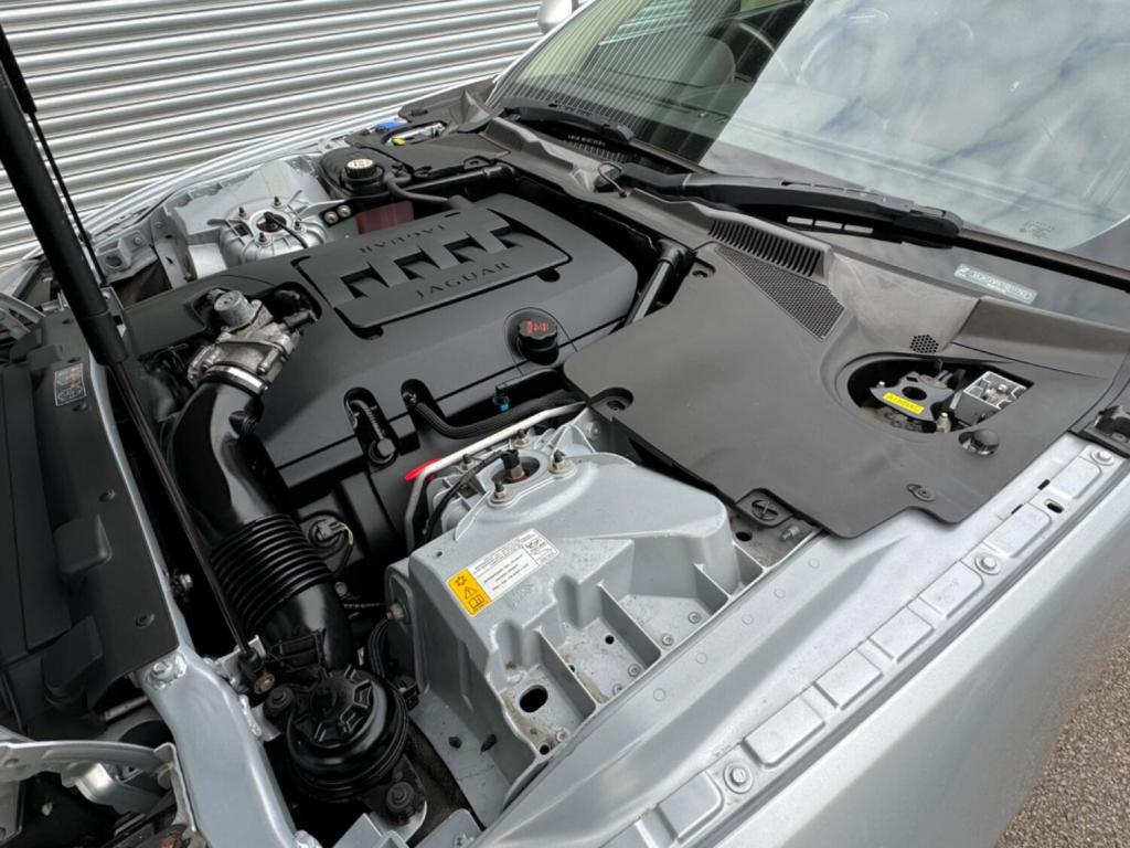 JAGUAR XK