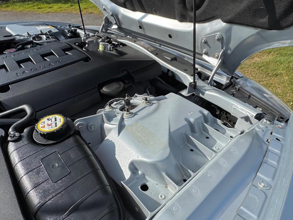 JAGUAR XK