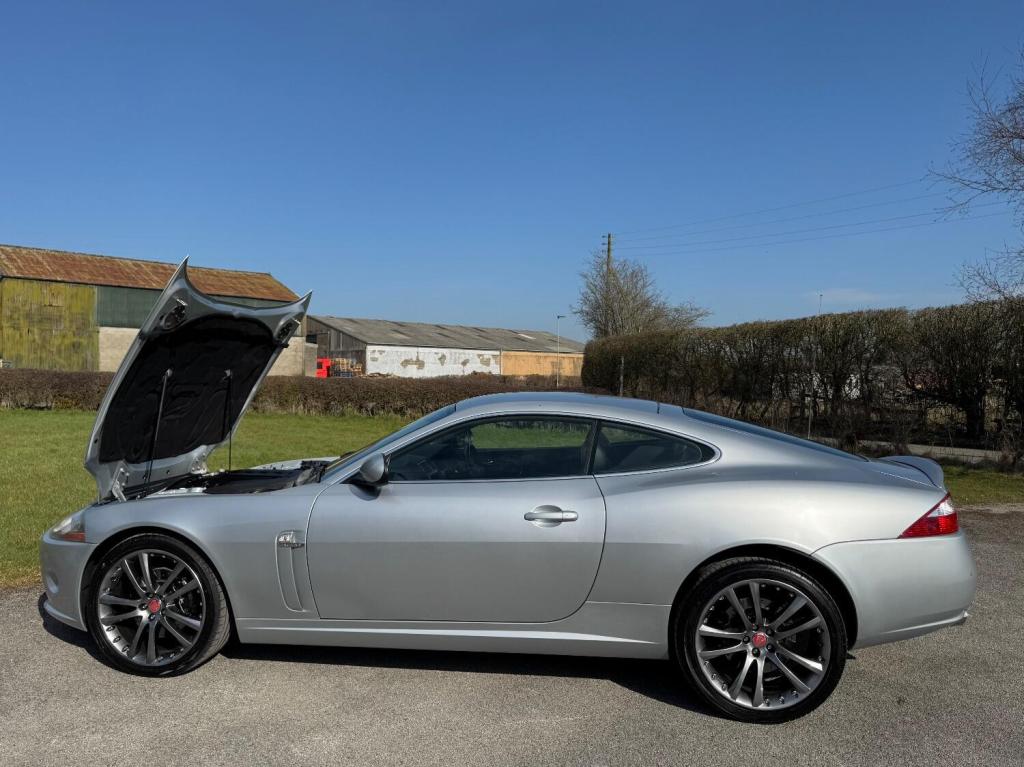 JAGUAR XK