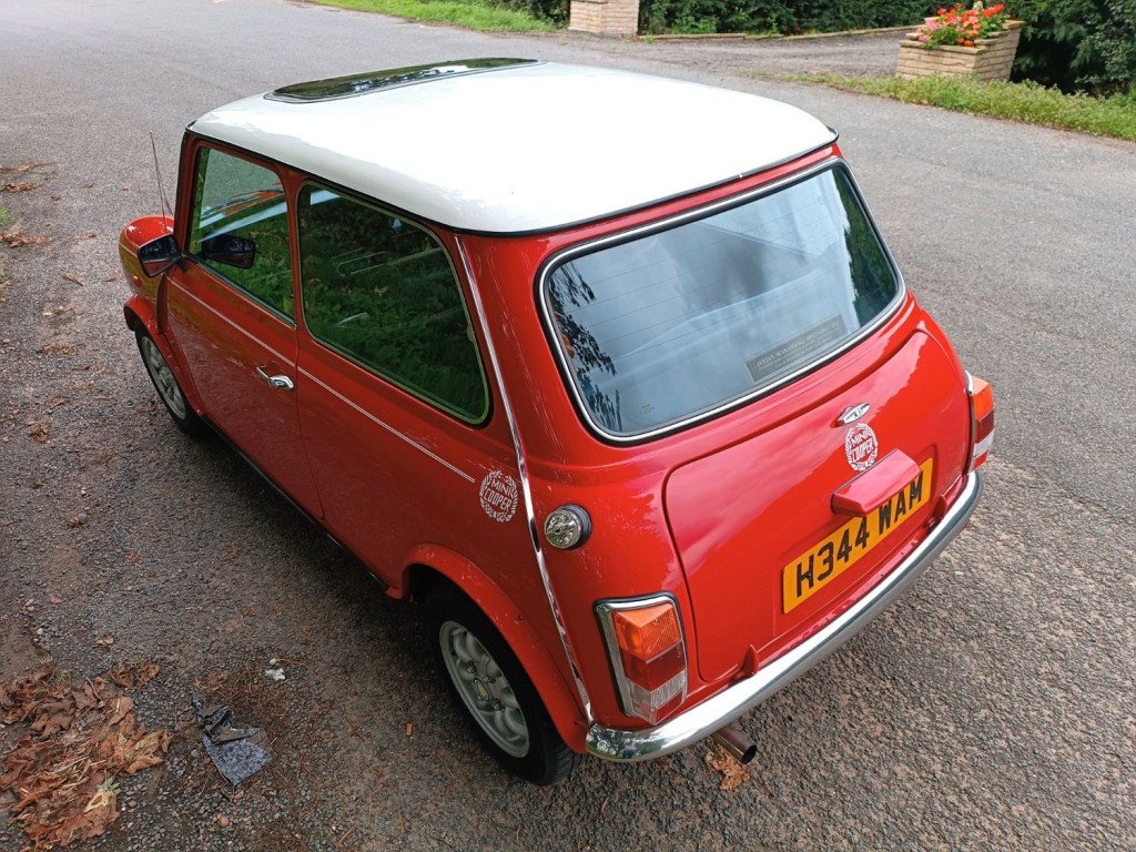 ROVER MINI