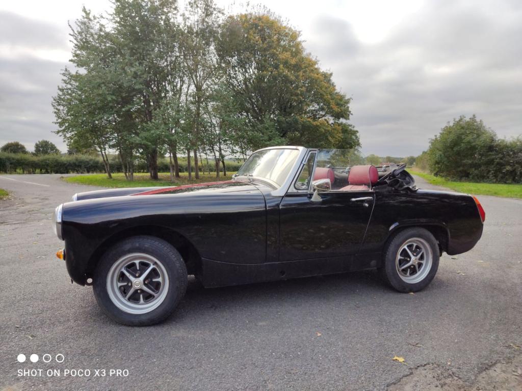 View MG MIDGET 1500