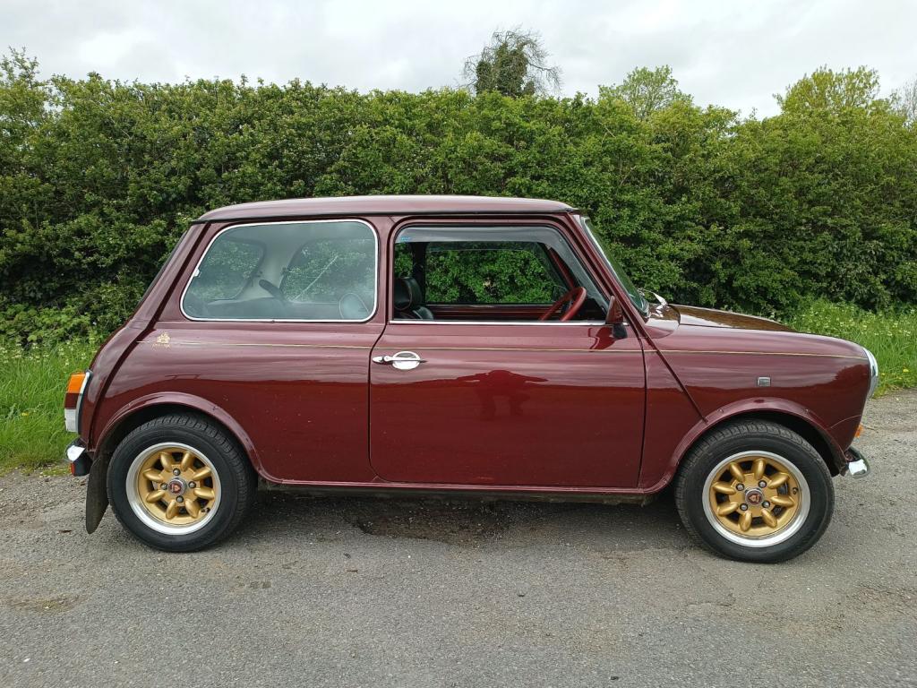View MINI MINI 30