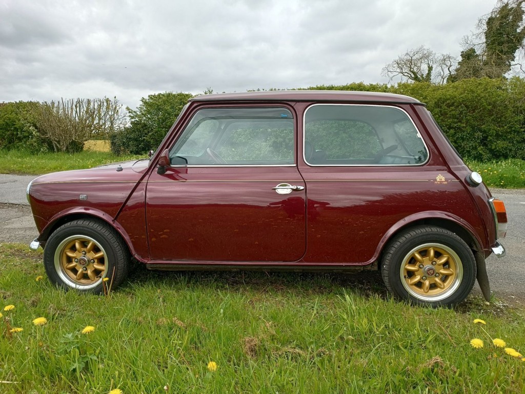 MINI MINI