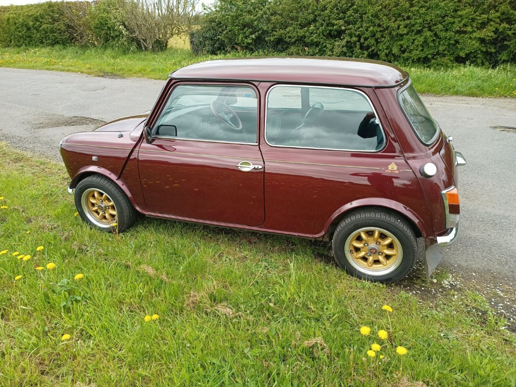 MINI MINI