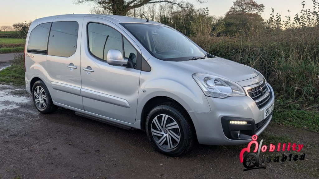 PEUGEOT PARTNER TEPEE