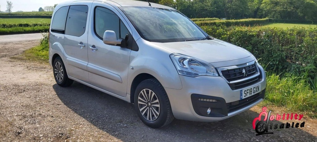 PEUGEOT PARTNER TEPEE