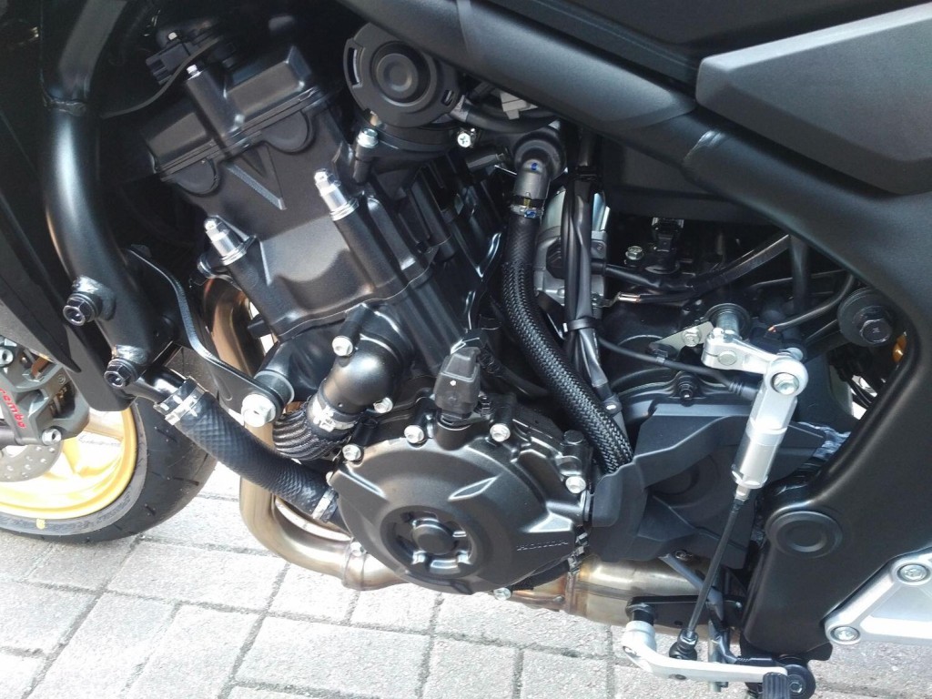 HONDA HORNET SP 2025