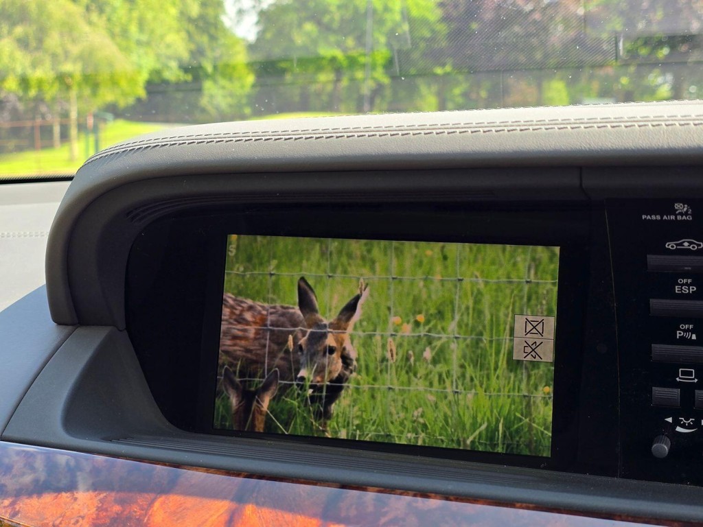 MERCEDES-BENZ S CLASS 5.5 S500 V8 2006