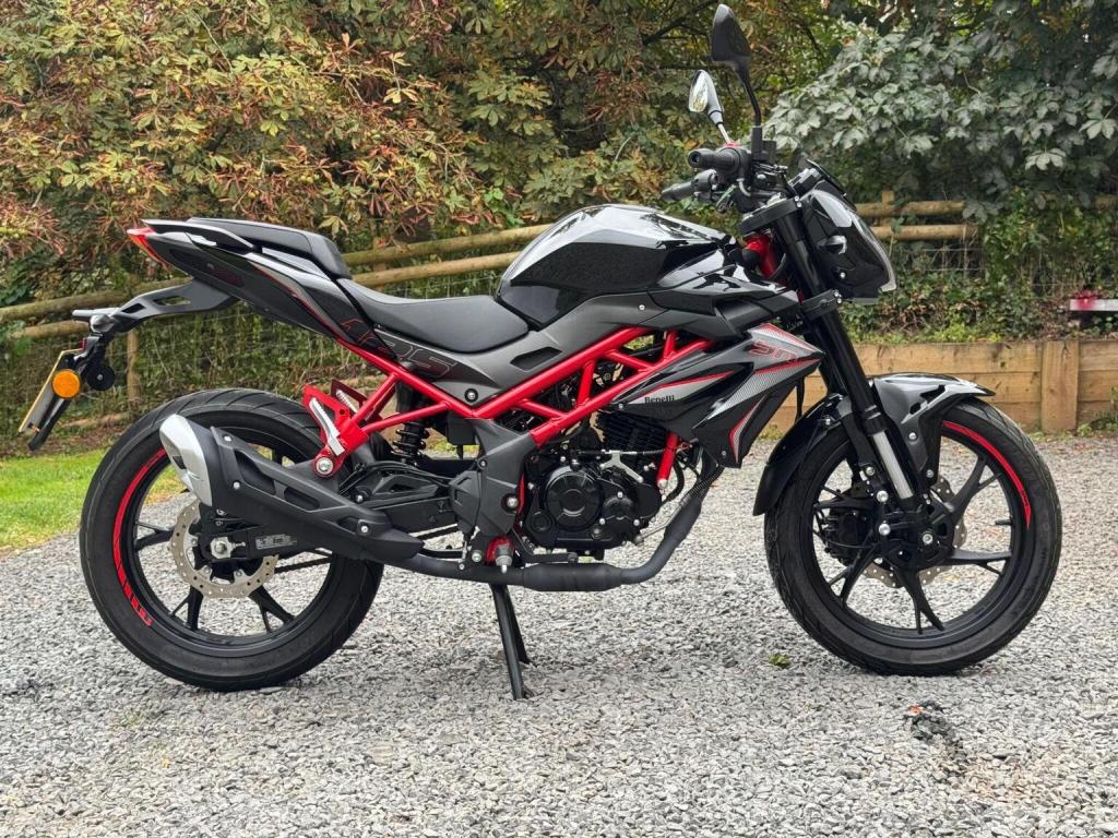 BENELLI BN 125 Euro 5 2025