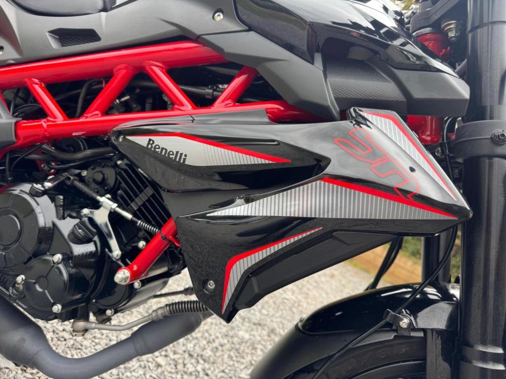 BENELLI BN 125 Euro 5 2025