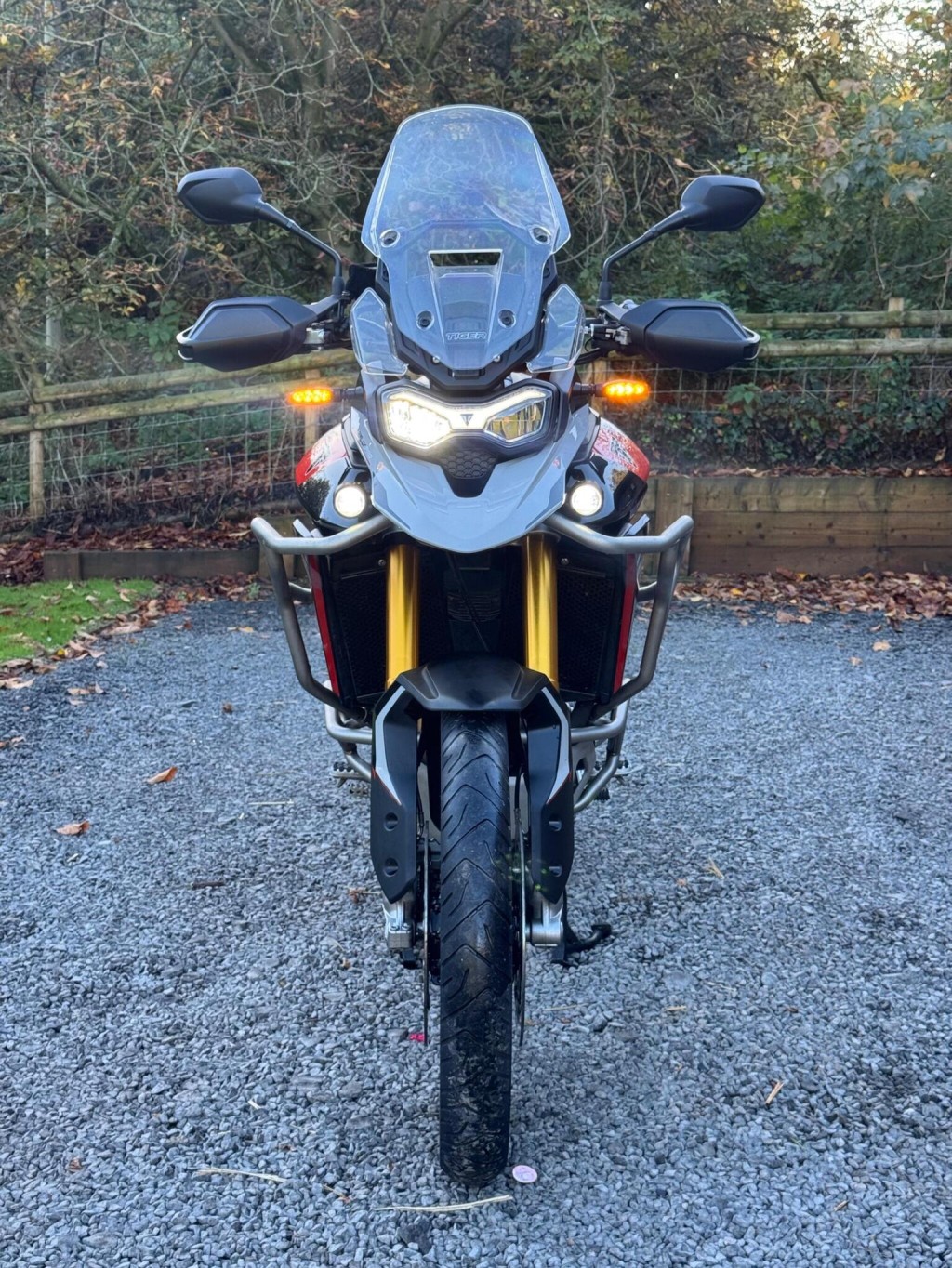 TRIUMPH TIGER 900 900 Rally Pro O-ring Euro 5 2024