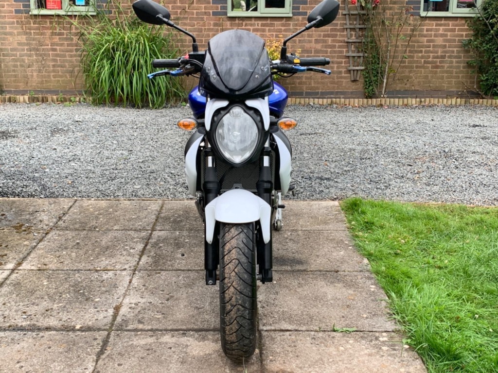 SUZUKI Gladius 650 650 SVF 2014