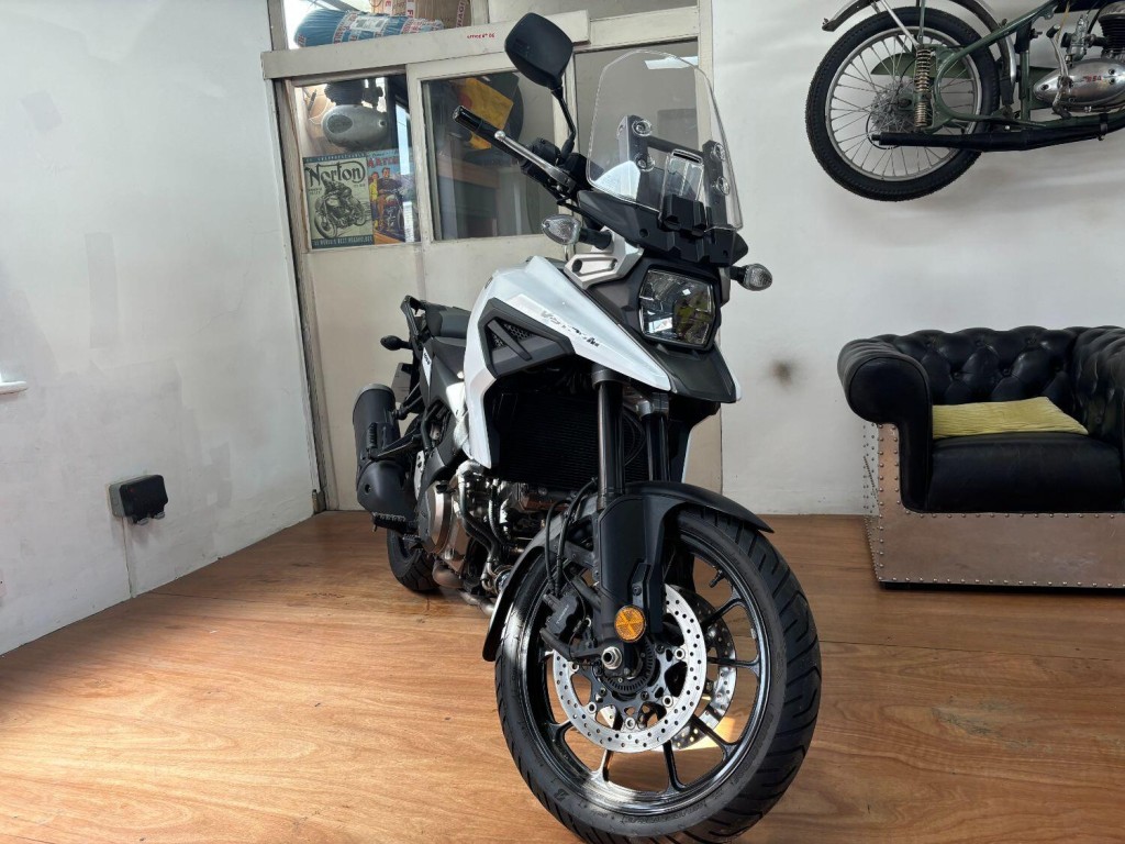 SUZUKI DL