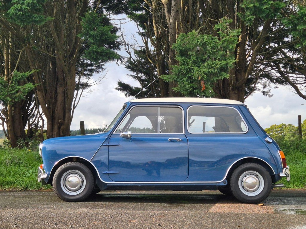 AUSTIN MINI