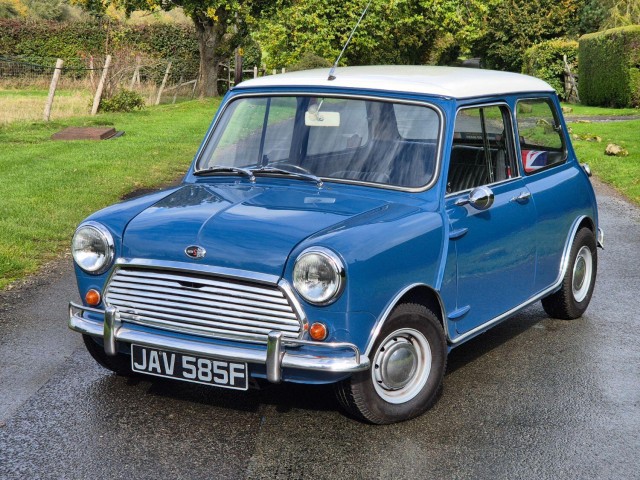 AUSTIN MINI